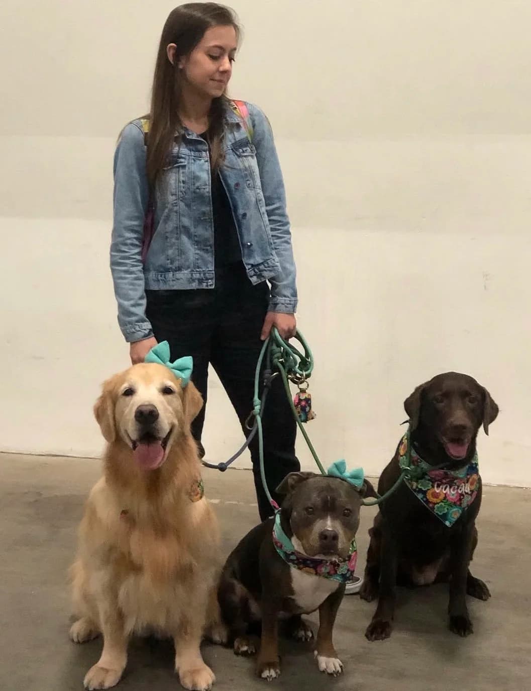 Lari walking four dogs
