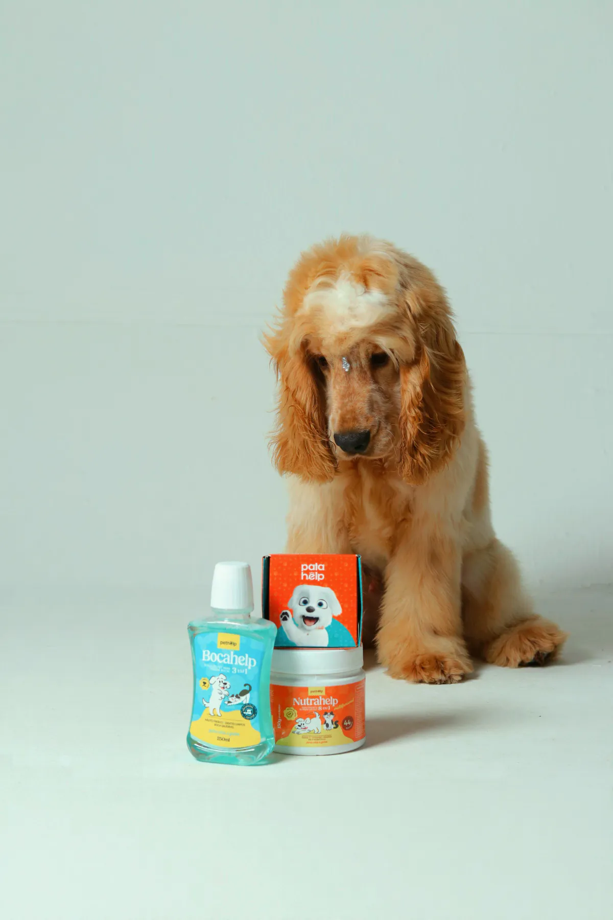 Smaug posing beside PetHELP products